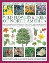Produktbild: Russell, T: The Illustrated Encyclopedia of Wild Flowers & T
