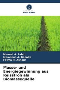 Produktbild: Masse- und Energiegewinnung aus Reisstroh als Biomassequelle