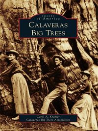 Produktbild: Calaveras Big Trees