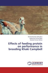 Produktbild: Effects of feeding protein on performance in brooding Khaki Campbell