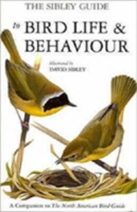 Produktbild: Sibley, D: The Sibley Guide to Bird Life and Behaviour