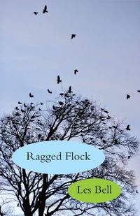 Produktbild: Ragged Flock