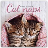 Produktbild: Cat Naps &ndash; Tr&auml;umende Katzen 2027 &ndash; 16-Monatskalender