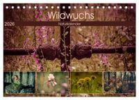 Produktbild: Wildwuchs 2026 (Tischkalender 2026 DIN A5 quer), CALVENDO Monatskalender