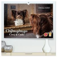 Produktbild: Chihuahuas - Cool and Cute (hochwertiger Premium Wandkalender 2026 DIN A2 quer), Kunstdruck in Hochglanz