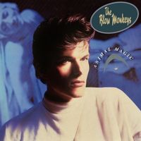 Bild vom Artikel Animal Magic vom Autor The Blow Monkeys