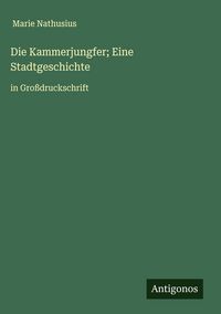 Produktbild: Die Kammerjungfer; Eine Stadtgeschichte