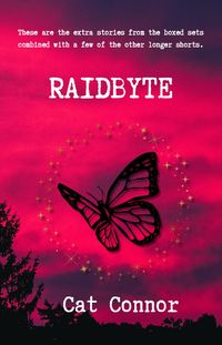 Produktbild: Raidbyte