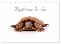 Produktbild: Reptilien & Co. (Wandkalender 2026 DIN A3 quer), CALVENDO Monatskalender