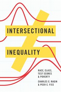 Produktbild: Intersectional Inequality