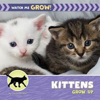 Produktbild: Kittens Grow Up
