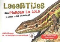 Produktbild: Lagartijas que pierden la cola