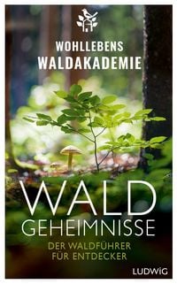 Produktbild: Waldgeheimnisse