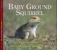 Produktbild: Baby Ground Squirrel