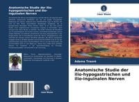 Produktbild: Anatomische Studie der ilio-hypogastrischen und ilio-inguinalen Nerven