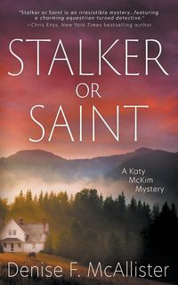 Produktbild: Stalker or Saint