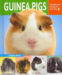 Produktbild: Guinea Pigs