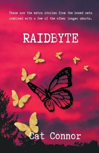 Produktbild: Raidbyte