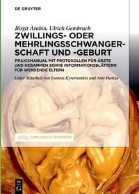 Produktbild: Schwangerschaft, Geburt und Wochenbett von Zwillingen und h&ouml;hergradigen Mehrlingen