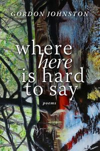 Produktbild: Where Here Is Hard to Say