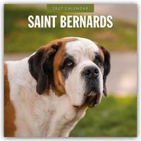 Produktbild: Saint Bernards &ndash; Bernhardiner 2027 &ndash; 16-Monatskalender