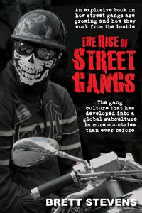 Produktbild: The Rise of Street Gangs