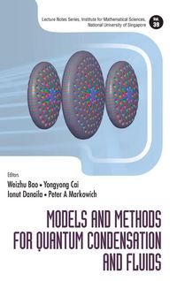Produktbild: Models and Methods For Quantum Condensation and Fluids