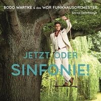 Produktbild: Jetzt oder Sinfonie !, 2 Schallplatten