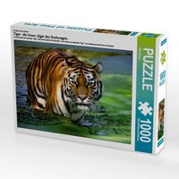 Produktbild: CALVENDO Puzzle Ein Motiv aus dem Kalender Tiger - die leisen J&auml;ger des Dschungels | 1000 Teile Lege-Gr&ouml;&szlig;e 64x48cm Foto-Puzzle f&uuml;r gl&uuml;ckliche Stunden