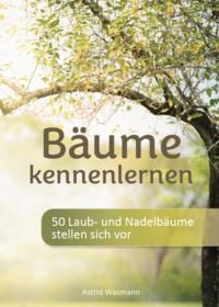 Produktbild: B&auml;ume kennenlernen