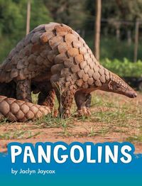 Produktbild: Pangolins