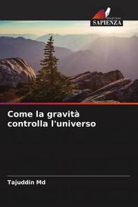 Produktbild: Come la gravit&agrave; controlla l'universo