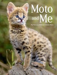 Produktbild: Moto and Me: My Year as a Wildcat's Foster Mom