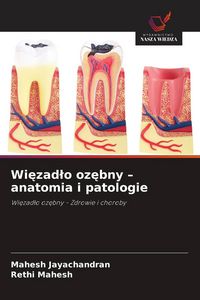 Produktbild: Wi&iquest;zad&iquest;o oz&iquest;bny - anatomia i patologie