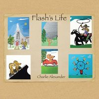 Produktbild: Flash's Life
