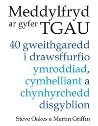 Produktbild: Meddylfryd AR Gyfer Tgau