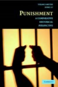 Produktbild: Punishment