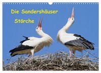 Produktbild: Die Sandersh&auml;user St&ouml;rche (Wandkalender 2026 DIN A3 quer), CALVENDO Monatskalender