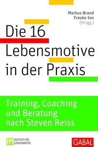 Die 16 Lebensmotive in der Praxis