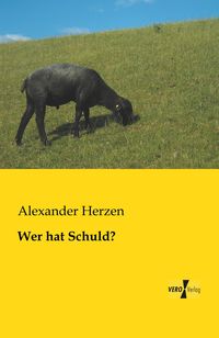 Produktbild: Wer hat Schuld?