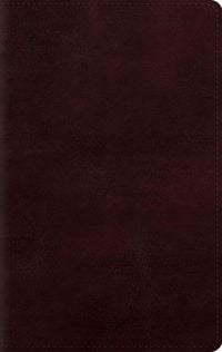 Produktbild: Large Print Personal Size Bible-ESV