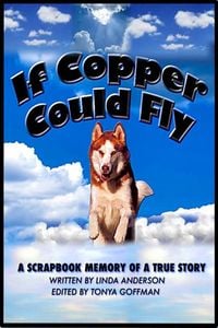 Produktbild: If Copper Could Fly a true story