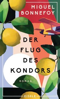 Produktbild: Der Flug des Kondors