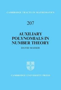 Produktbild: Auxiliary Polynomials in Number Theory