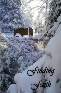 Produktbild: Finding Faith