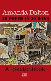Produktbild: 30 Poems in 30 Days