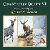 Produktbild: Quadt liest Quadt VI
