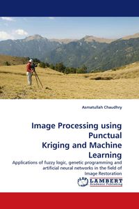 Produktbild: Image Processing using Punctual Kriging and Machine Learning