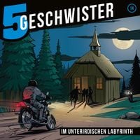 Produktbild: 14: Im unterirdischen Labyrinth