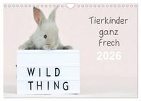 Produktbild: Tierkinder ganz frech (Wandkalender 2026 DIN A4 quer), CALVENDO Monatskalender